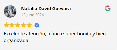 Testimonio 4
